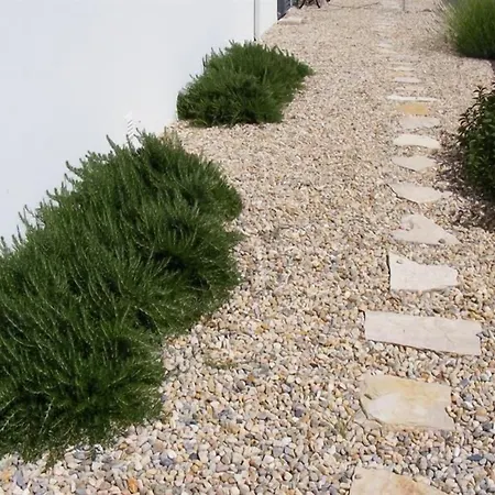 Casa Ceedina & Beauty Batalha