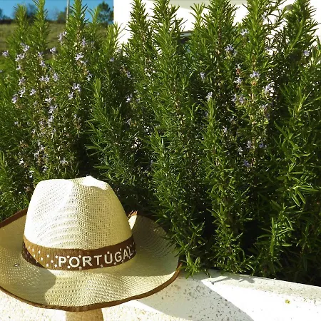 Casa Ceedina & Beauty 4*