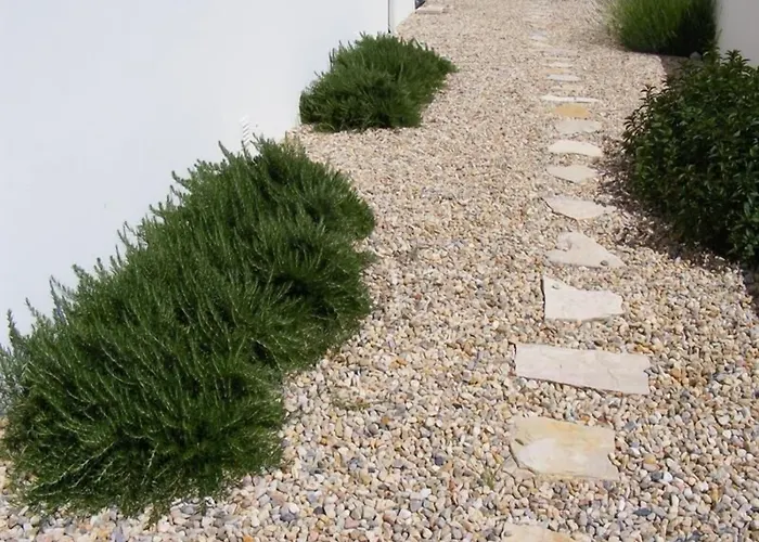 Casa Ceedina & Beauty Batalha