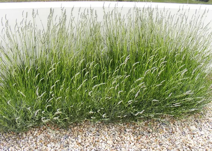 Casa Ceedina & Beauty